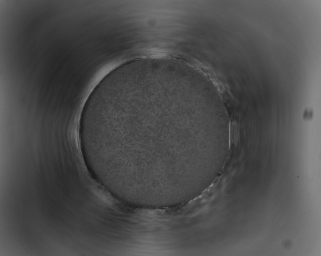 X0000102850147200809021409