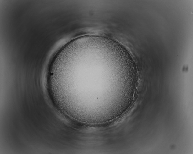 X0000102850149200809021409