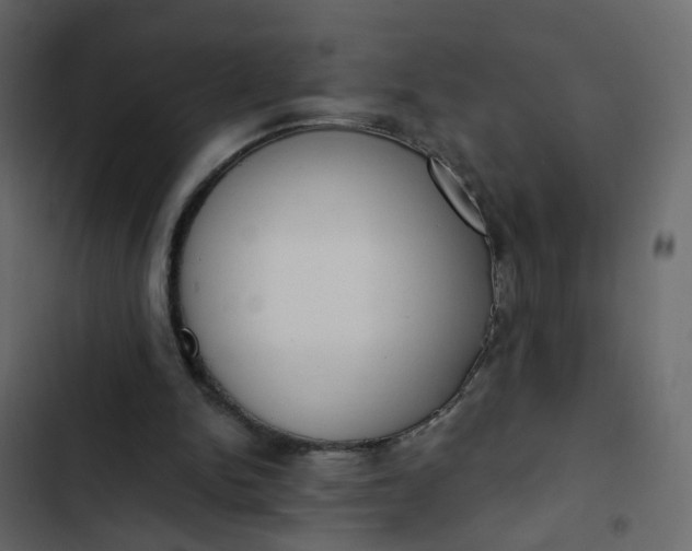 X0000102850150200809021409