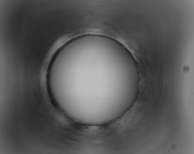 X0000102850151200809021409