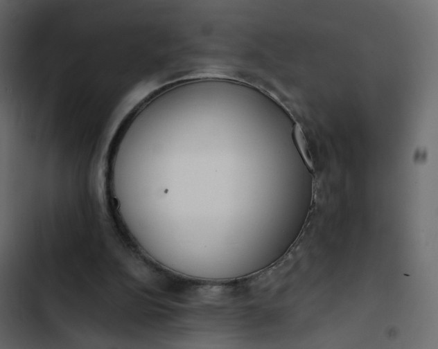 X0000102850152200809021409