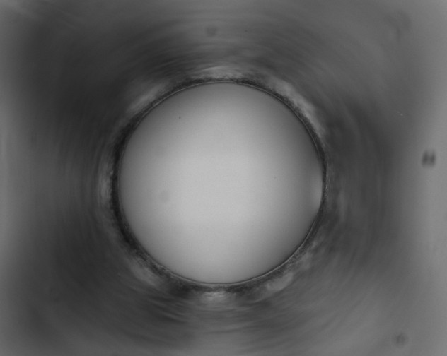 X0000102850153200809021409