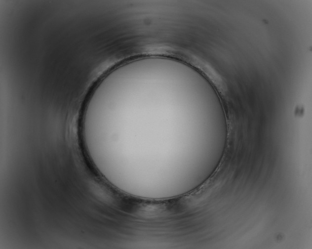 X0000102850155200809021409