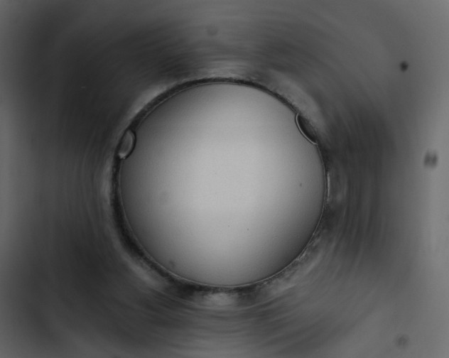 X0000102850156200809021409