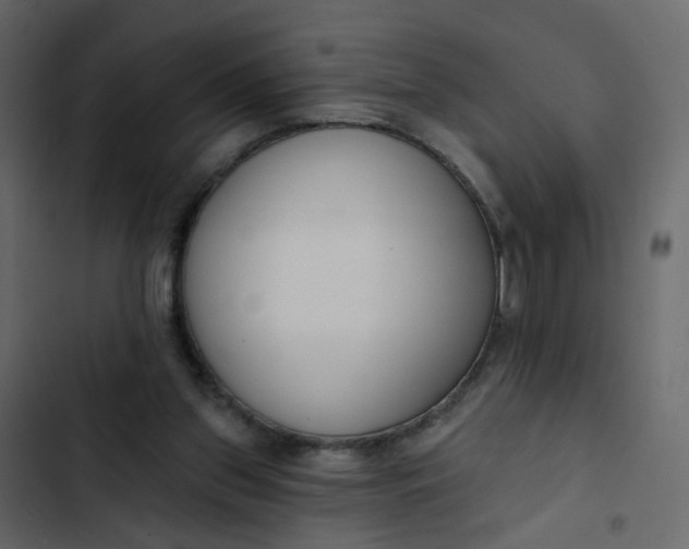 X0000102850157200809021409