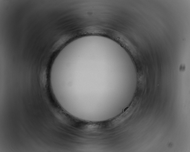 X0000102850158200809021409