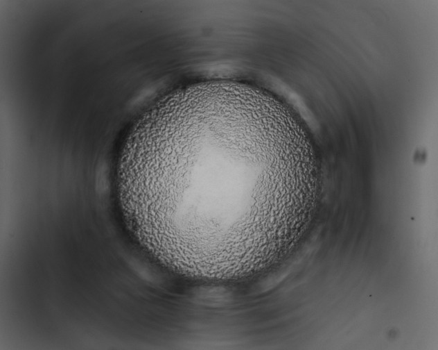 X0000102850161200809021409