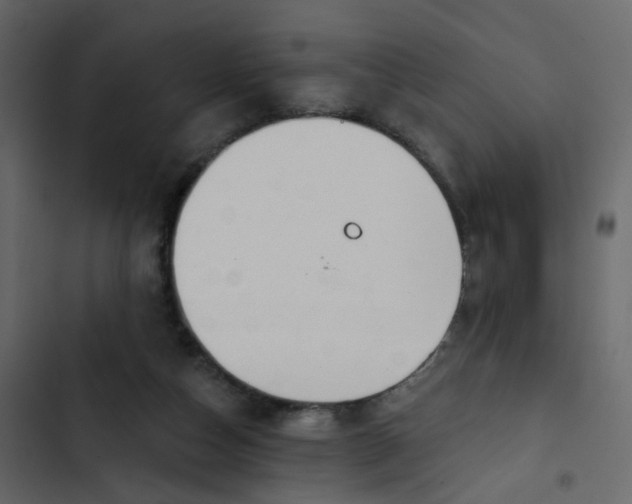 X0000102850162200809021409