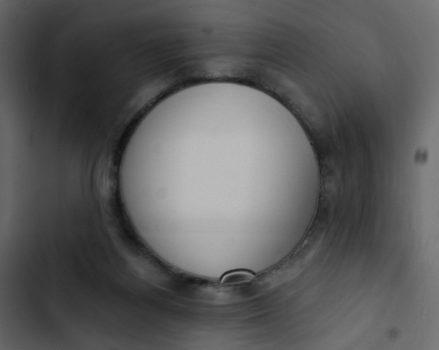 X0000102850164200809021409