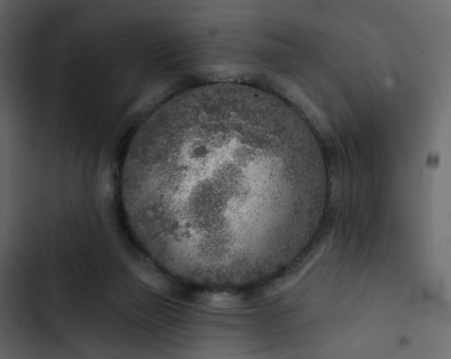 X0000102850165200809021409