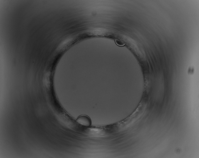 X0000102850167200809021409