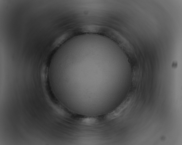 X0000102850168200809021409