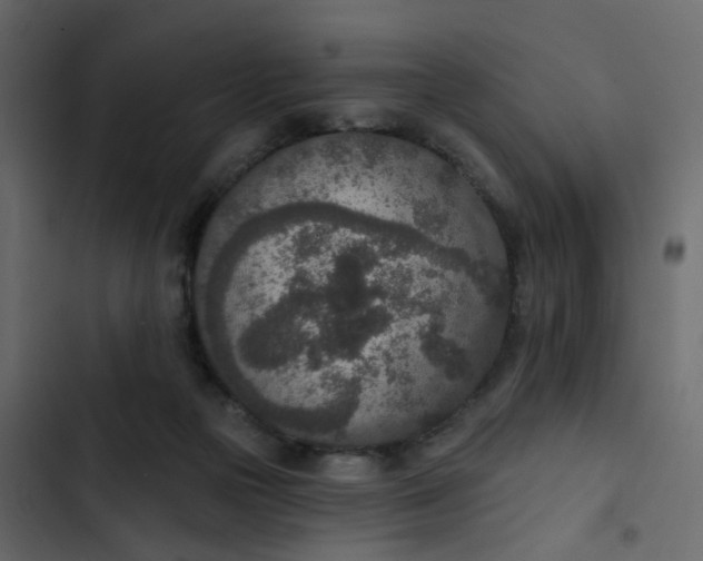 X0000102850169200809021409