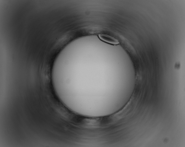 X0000102850170200809021409