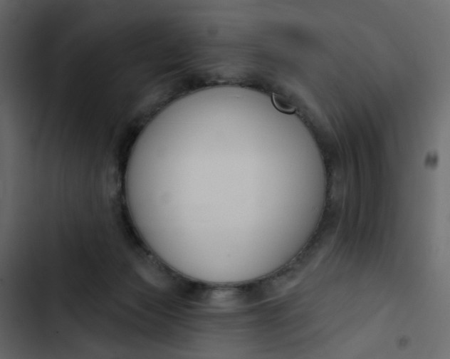 X0000102850173200809021409