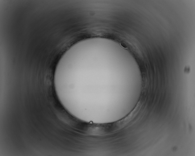 X0000102850174200809021409