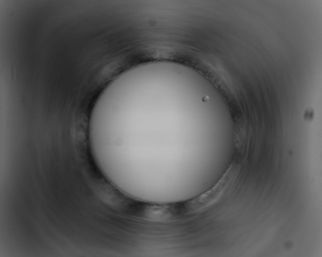 X0000102850175200809021409