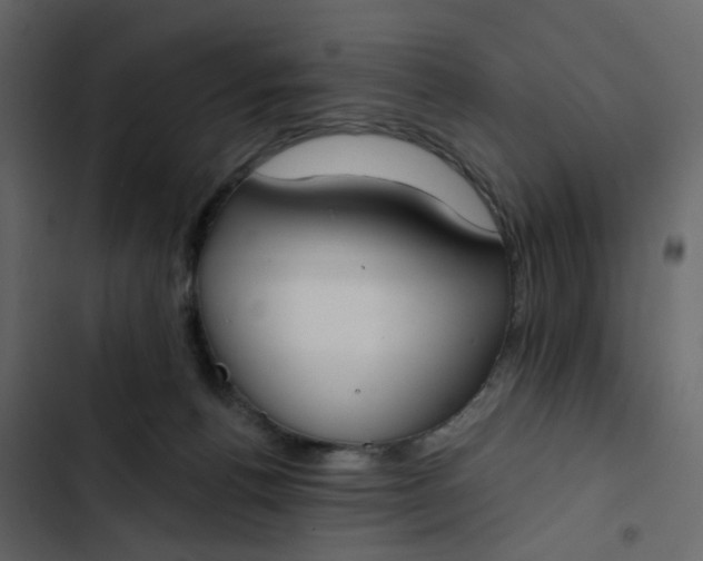 X0000102850176200809021409