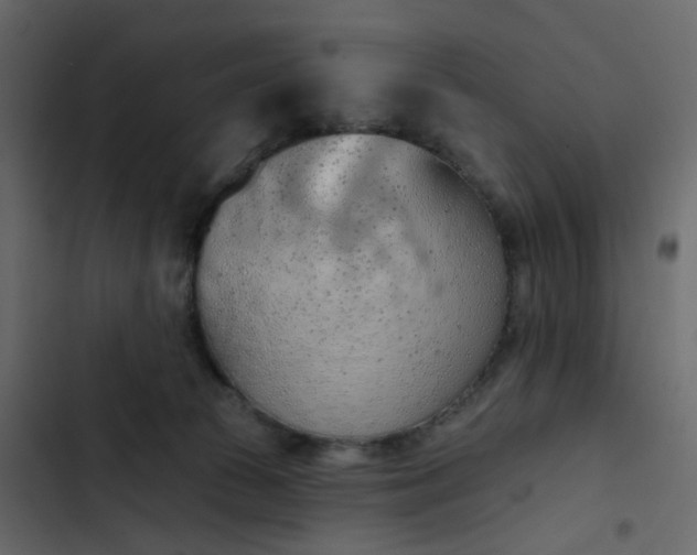 X0000102850177200809021409