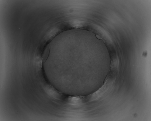 X0000102850180200809021409