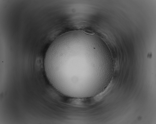 X0000102850182200809021409