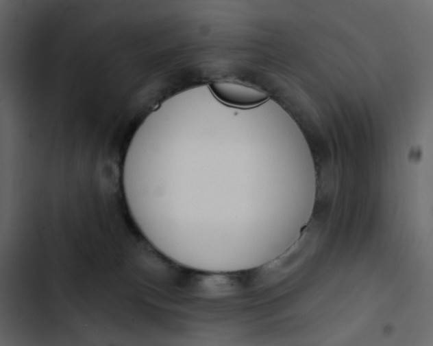 X0000102850183200809021409