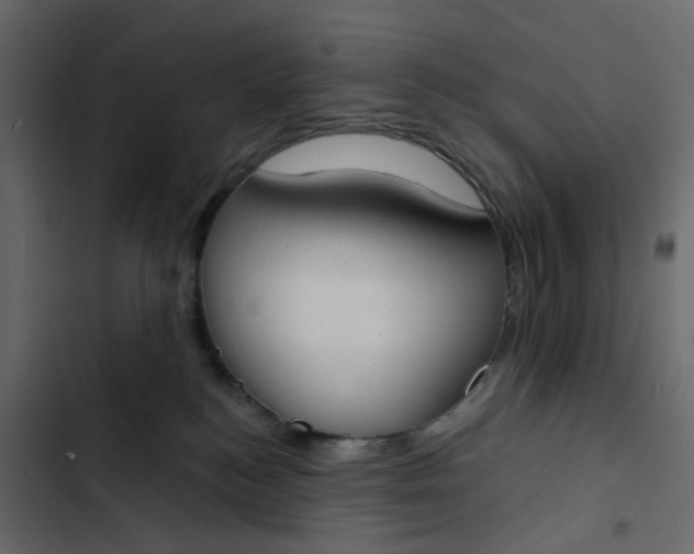 X0000102850184200809021409