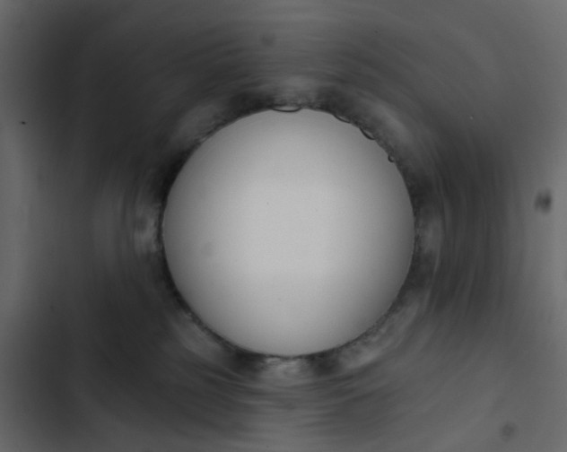 X0000102850185200809021409