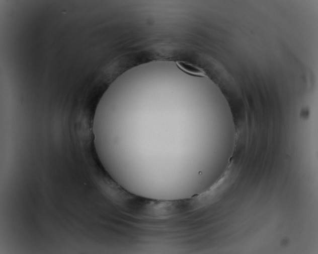 X0000102850186200809021409