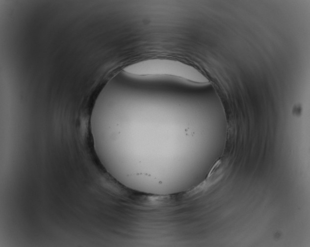 X0000102850188200809021410