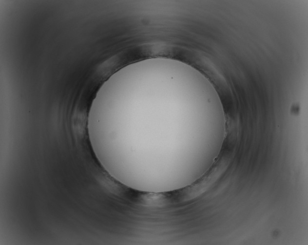 X0000102850189200809021410