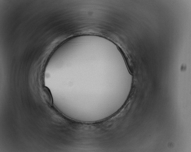 X0000102850193200809021409