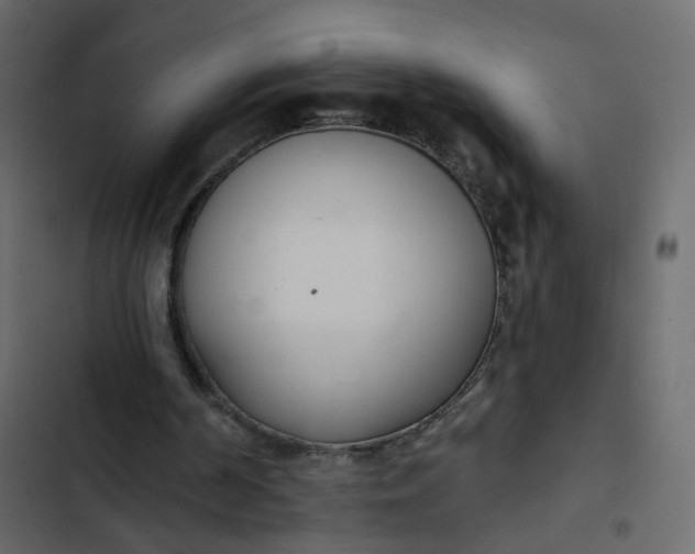 X0000102850194200809021409