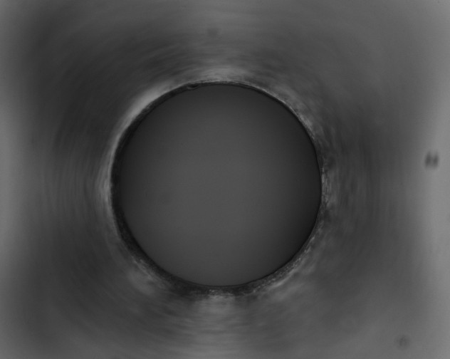 X0000102850196200809021409