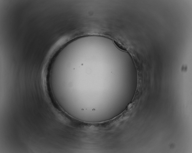 X0000102850197200809021409