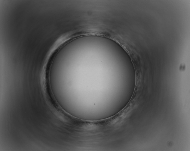 X0000102850198200809021409