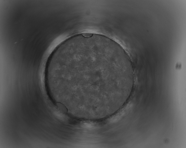 X0000102850199200809021409