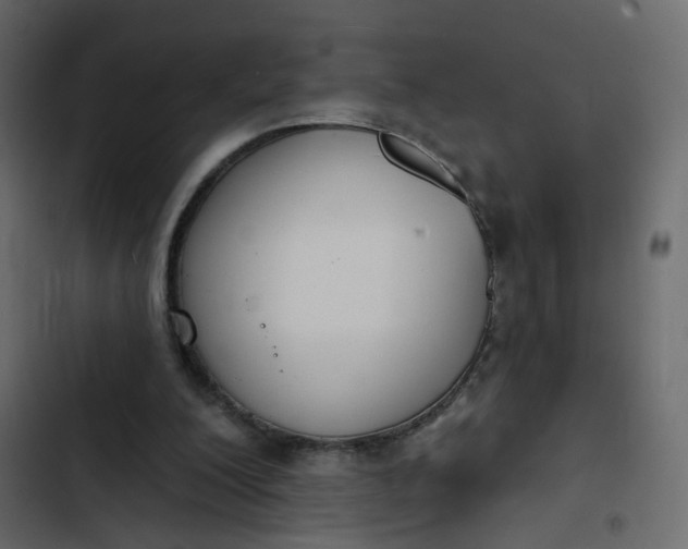 X0000102850200200809021409