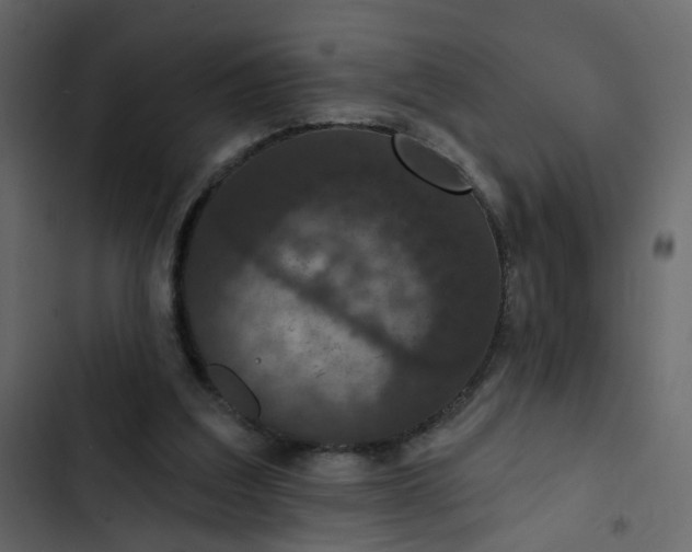 X0000102850203200809021409