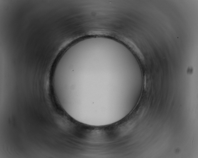 X0000102850204200809021409