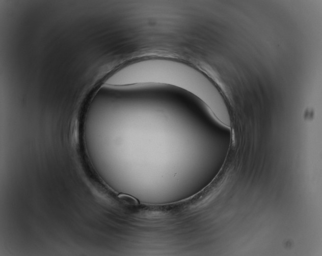 X0000102850205200809021409