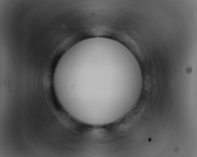 X0000102850210200809021409