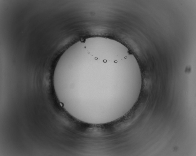 X0000102850211200809021409