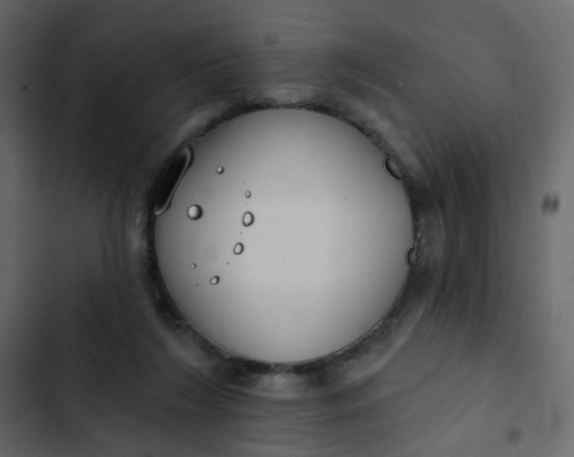 X0000102850212200809021409