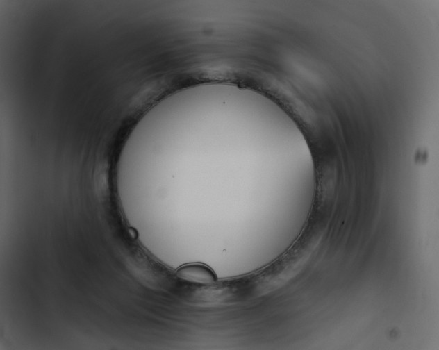 X0000102850213200809021409