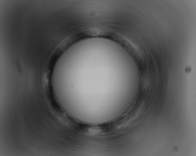 X0000102850214200809021409