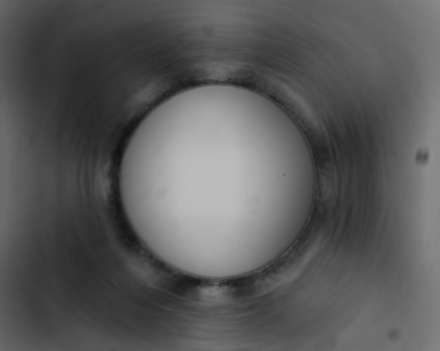 X0000102850216200809021409