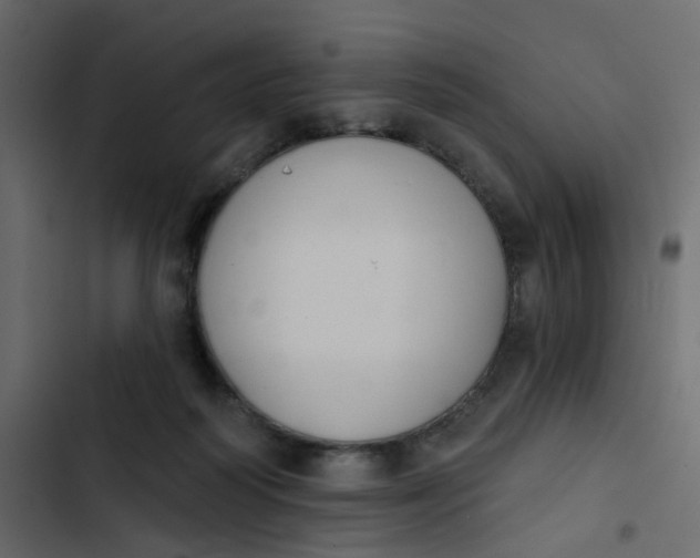 X0000102850218200809021409