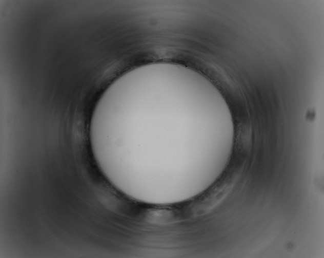 X0000102850220200809021409