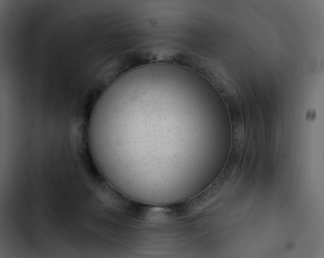 X0000102850222200809021409